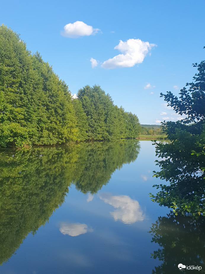 Labdázó delfin(felhő)