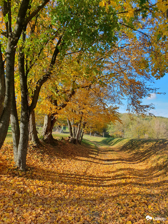 Napsütésben úszik az ősz