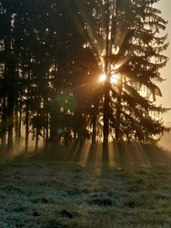 Napsugaras reggel 11.06.