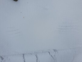 Angyalszárny helyett...madárka szállott fel