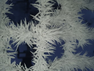 Zúzmarás szép jó reggelt!❄️