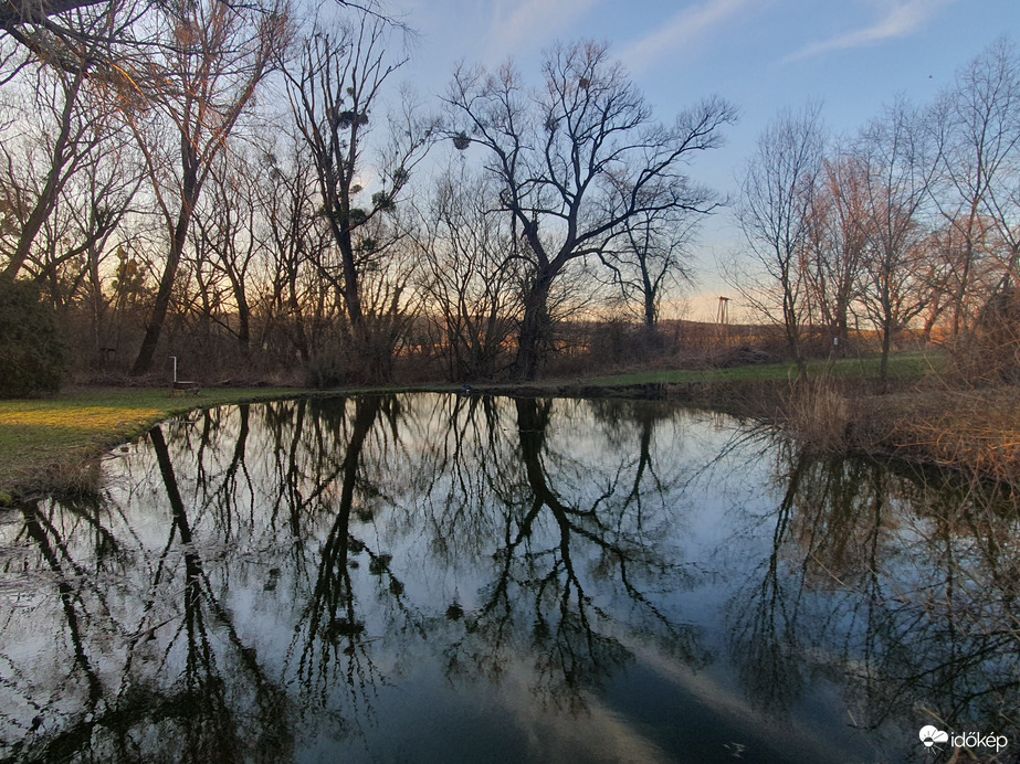Kis tó nagy fákkal
