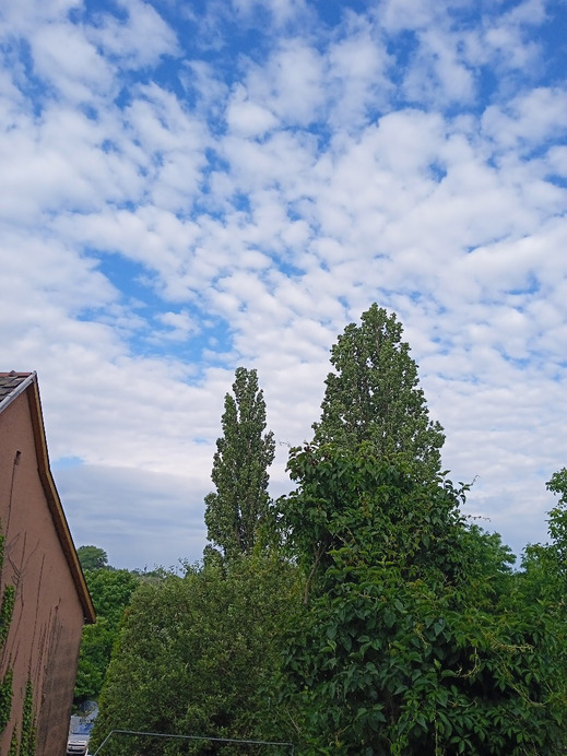 Szárliget