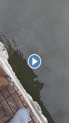 Budapest XV.ker - Rákospalota