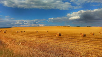 Aratás után 