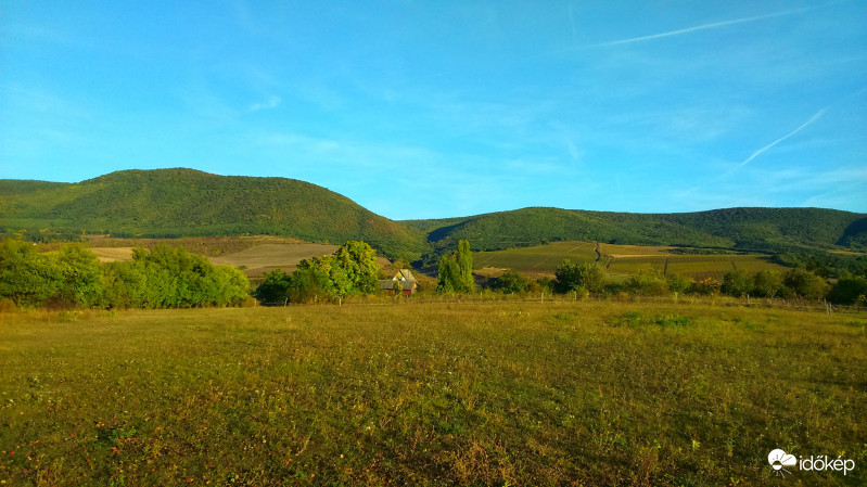 Ősz 