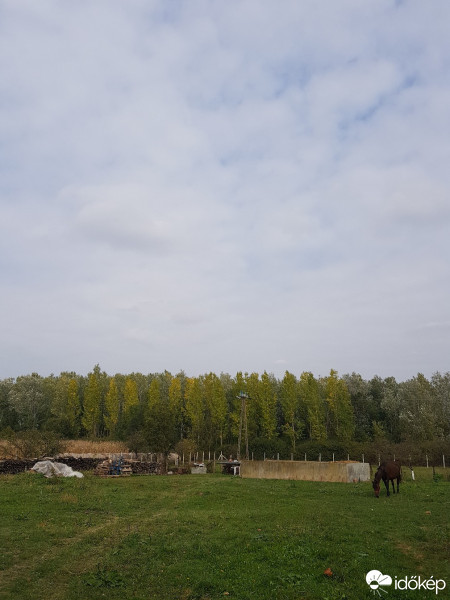 Sarkad