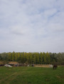 Sarkad