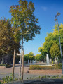 Békéscsaba