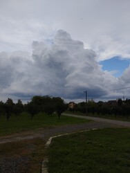 Sarkad