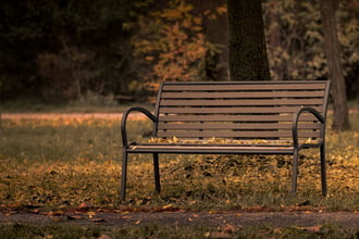 Őszi csendélet IV.