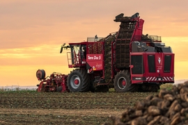 Cukorrépa betakarítás