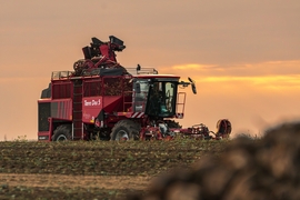 Cukorrépa betakarítás IV.