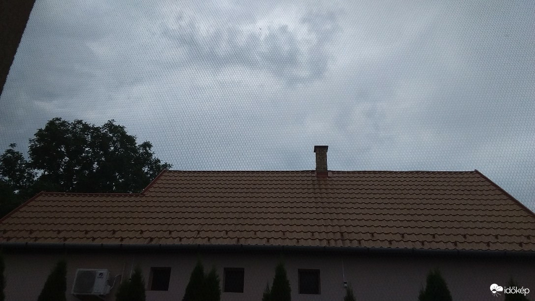 Nyírpazony