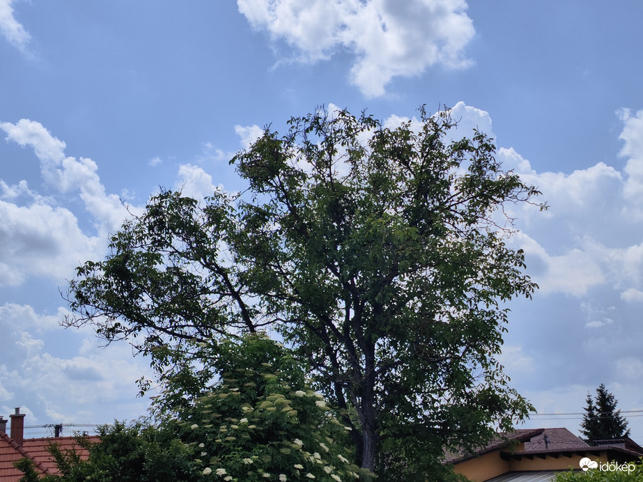 Gyál