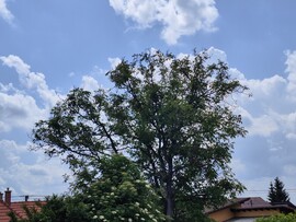Gyál