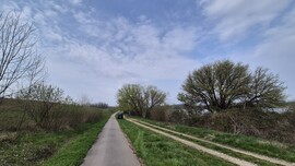 Somogyaszaló