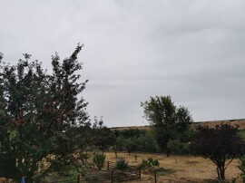 Szomolya