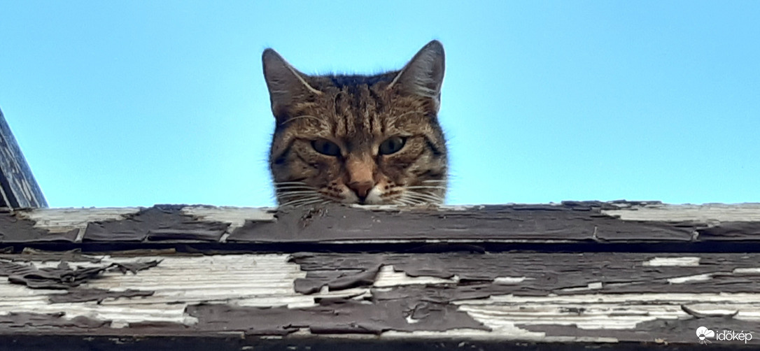 Hiába nézel...a háztető az, az enyém!! :) 