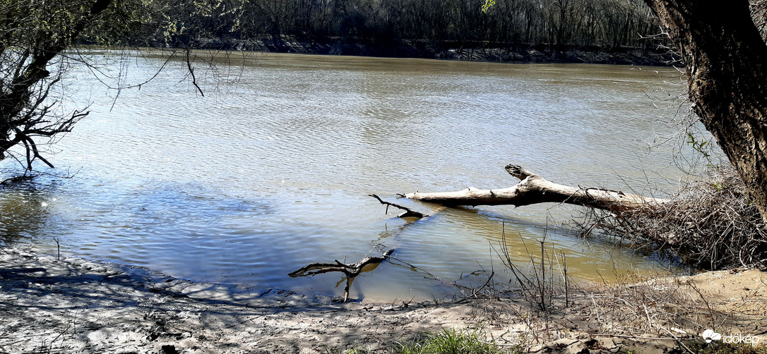 A vadregényes Tisza :)