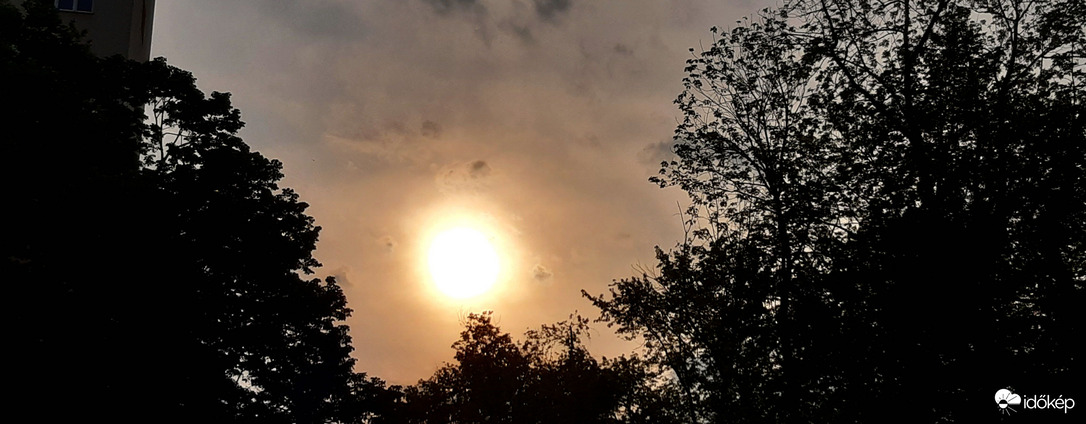 Ma, 18:29