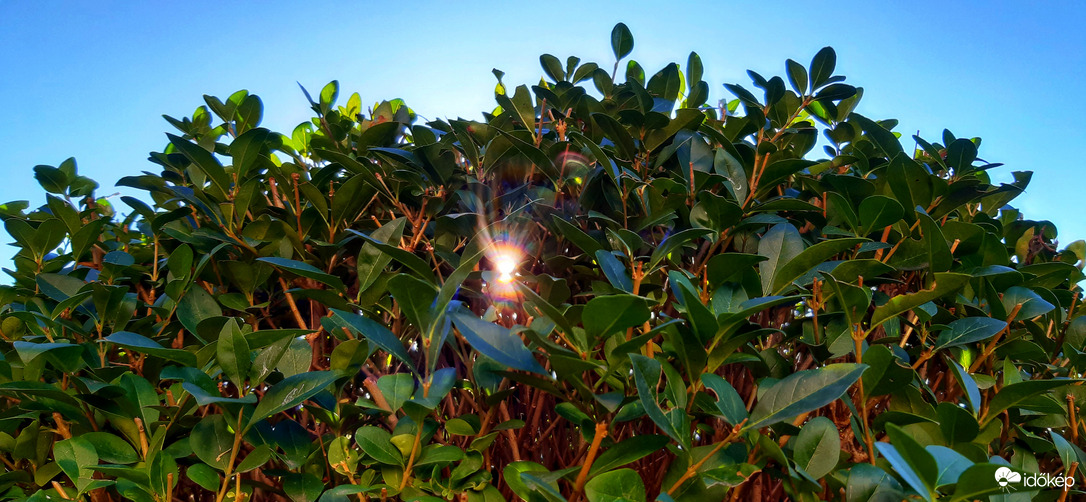 Mintha tavasz volna... :)