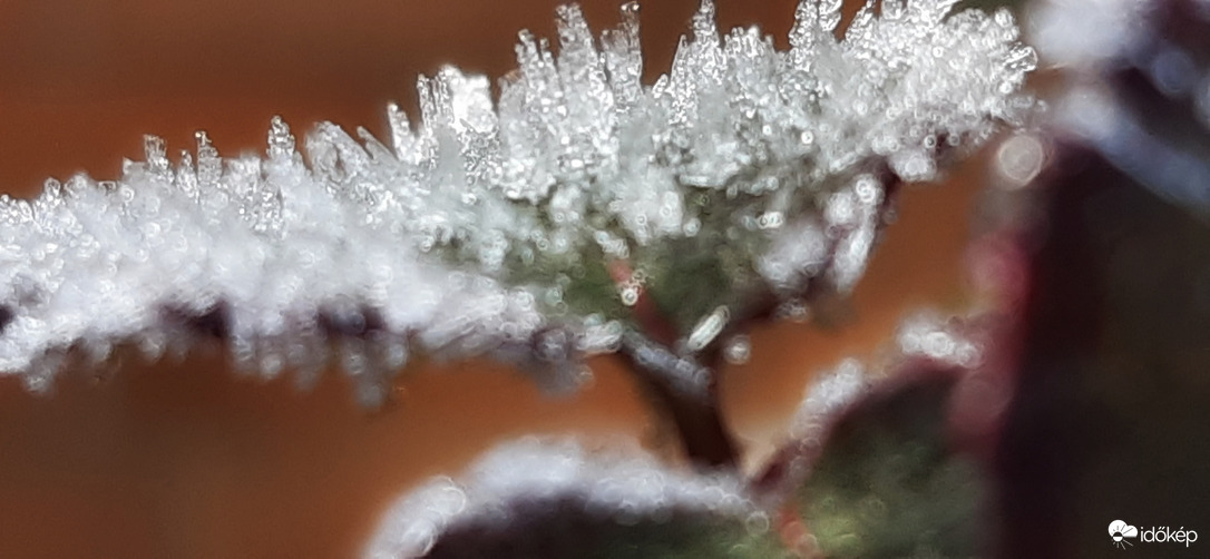 Zimankós reggel Szegeden brrrr... :o