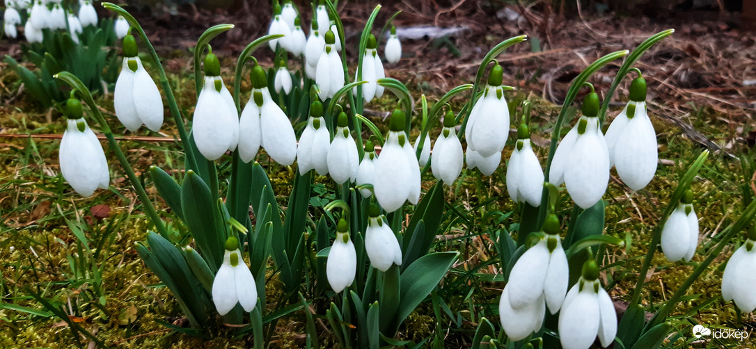 Borús időre egy ki derü :)