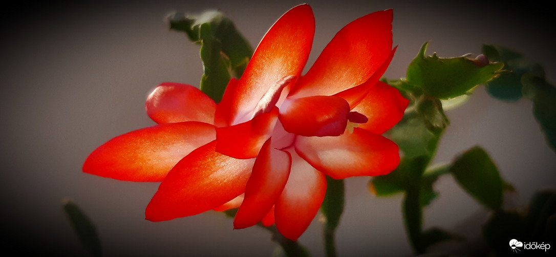 Meghitt, csendes várakozást mindenkinek! :)