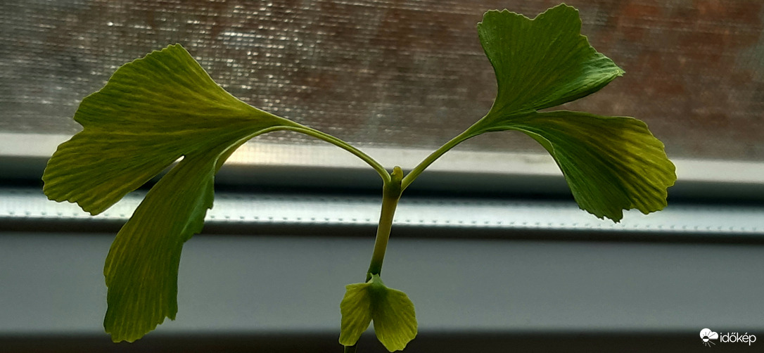 Egy kis téli napsugaras fürdőzés :))