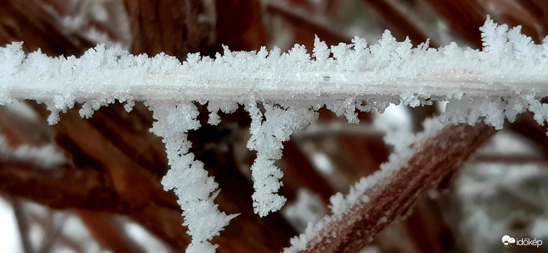 Szeged -12°C vadasparknál