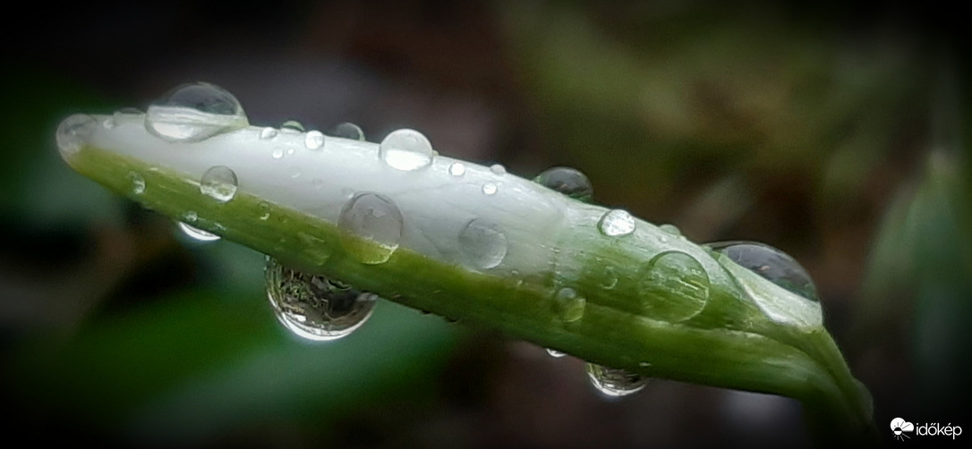 Egy esős februári nap :)