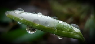 Egy esős februári nap :)