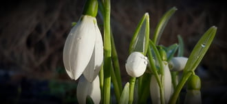 Téli napsütésben.. :)