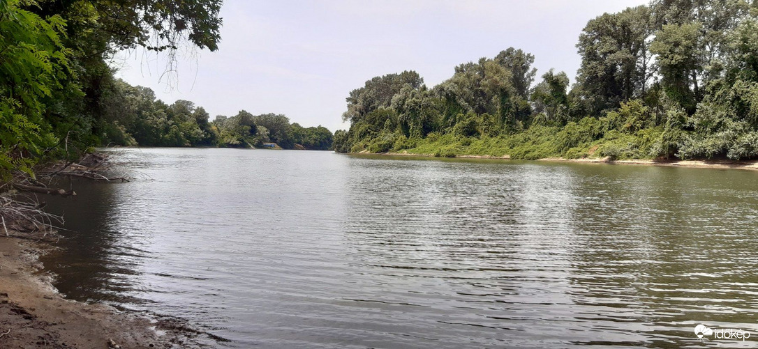 Algyő, Tisza