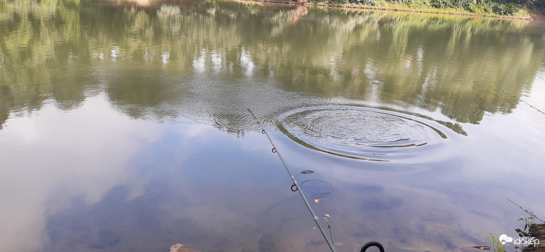 Algyő Tisza, egy kis vizi "hancúr" :)