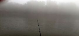 Reggeli csend,nyugalom a ködös őszben :)