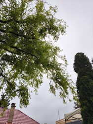 Érd-Parkváros