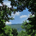 Parád