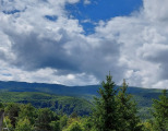 Parád