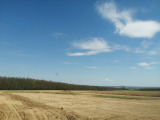 Borsosberény