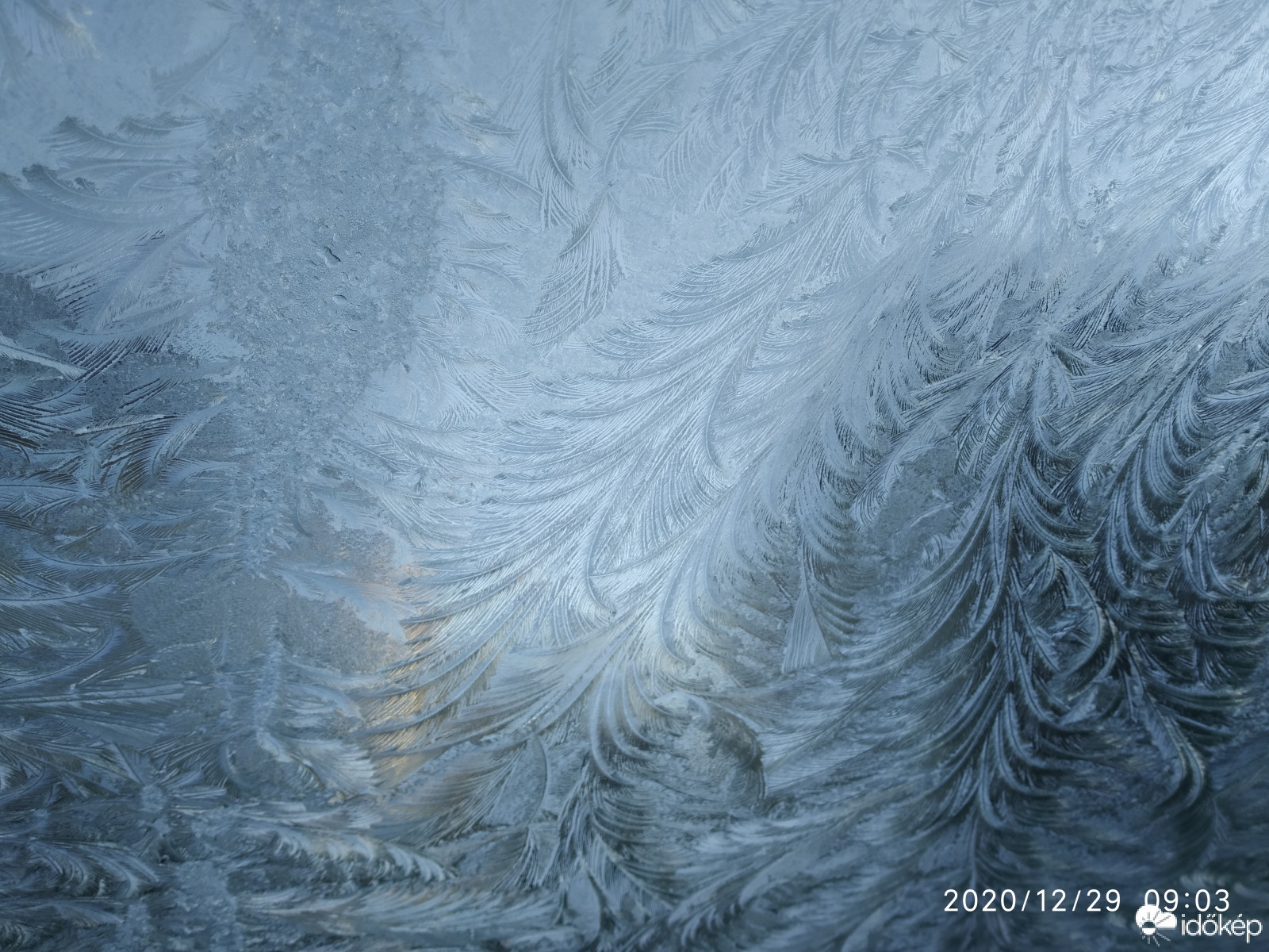 Jégvirág ❄️