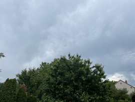 Székesfehérvár