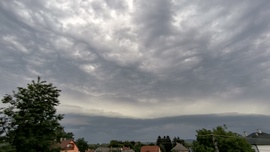 Ma esti cella