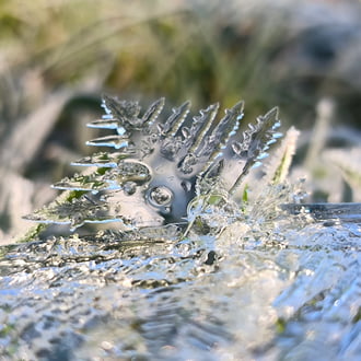 Ha elmúlik karácsony, ... Az avarvilágban nem múlt el még