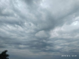 Balatonaliga