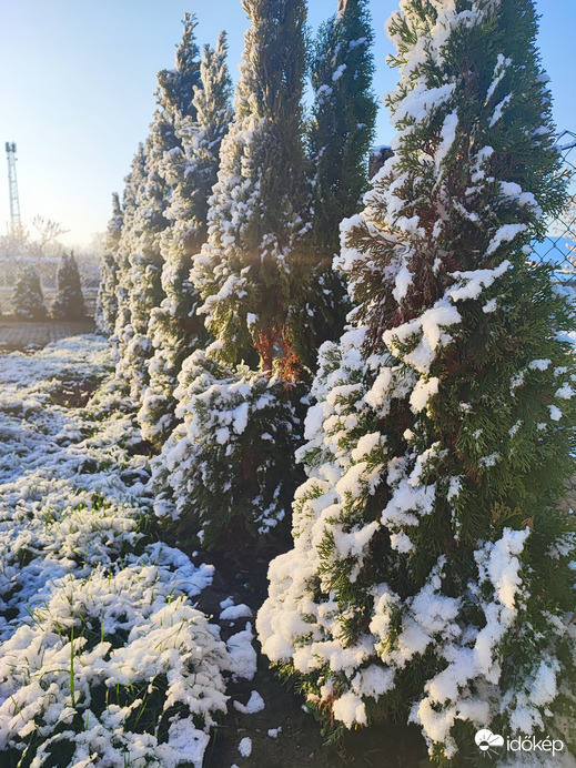 Csemő