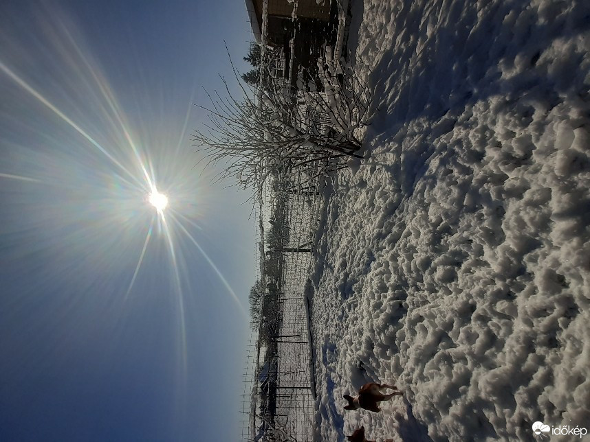 Észlelési fényképek