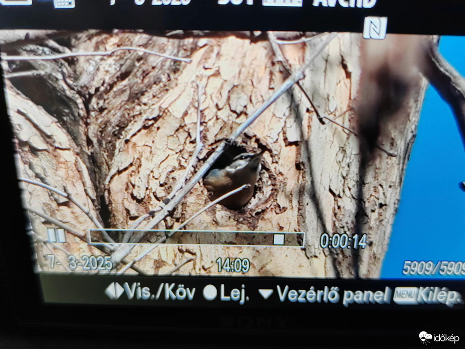 Videómból egy részlet... 