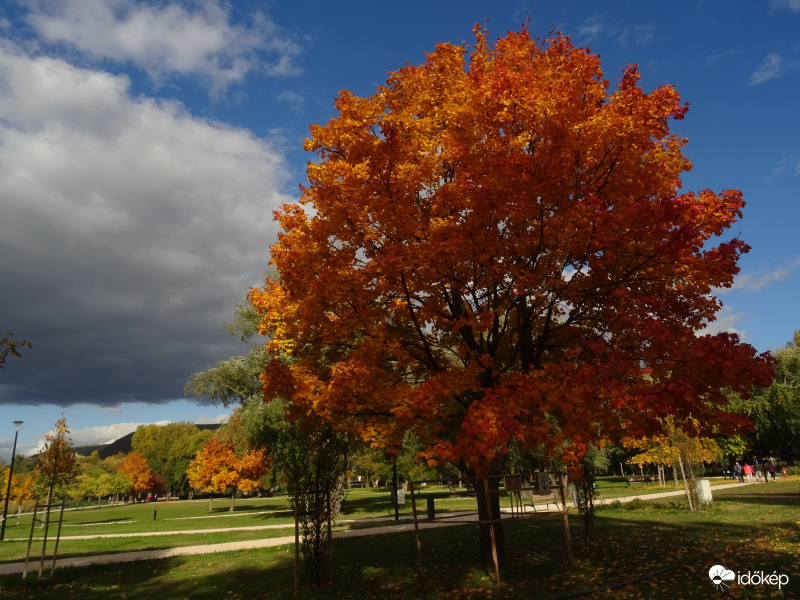 Őszi park